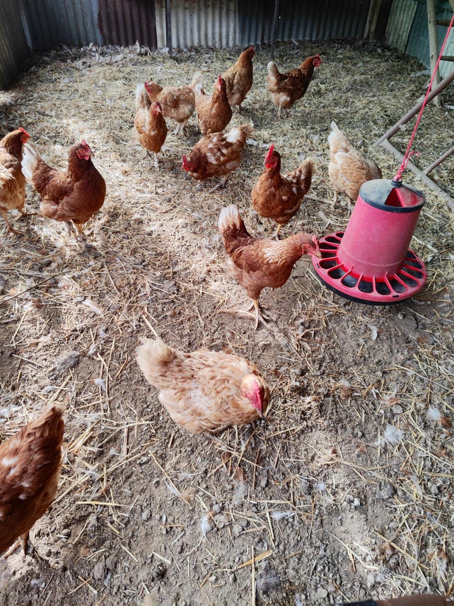 Quinta Da Ponte Das Hortas 2 Elvas Ngoại thất bức ảnh